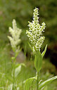 BUITEN BEELD Foto: 437256