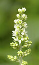 BUITEN BEELD Foto: 437259