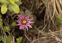 BUITEN BEELD Foto: 437262