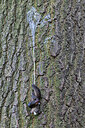 BUITEN BEELD Foto: 437263