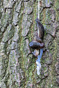 BUITEN BEELD Foto: 437266