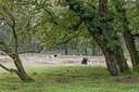 BUITEN BEELD Foto: 437267