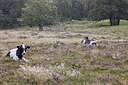 BUITEN BEELD Foto: 437271