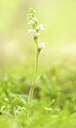 BUITEN BEELD Foto: 437278