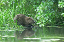 BUITEN BEELD Foto: 437289