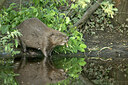 BUITEN BEELD Foto: 437291