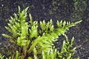 BUITEN BEELD Foto: 437302