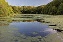 BUITEN BEELD Foto: 437303