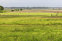 BUITEN BEELD Foto: 437304