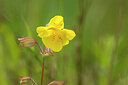 BUITEN BEELD Foto: 437334