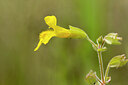 BUITEN BEELD Foto: 437336