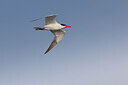 BUITEN BEELD Foto: 437339