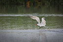 BUITEN BEELD Foto: 437340