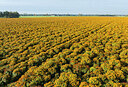 BUITEN BEELD Foto: 437363
