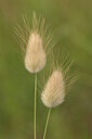 BUITEN BEELD Foto: 437370