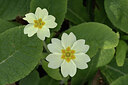 BUITEN BEELD Foto: 437373