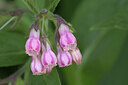BUITEN BEELD Foto: 437397