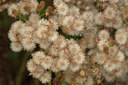 BUITEN BEELD Foto: 437400