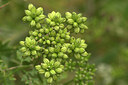 BUITEN BEELD Foto: 437424