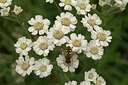 BUITEN BEELD Foto: 437488
