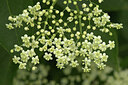 BUITEN BEELD Foto: 437493
