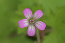 BUITEN BEELD Foto: 437534