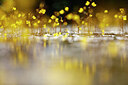 BUITEN BEELD Foto: 437535