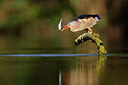 BUITEN BEELD Foto: 437554