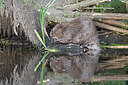 BUITEN BEELD Foto: 437565