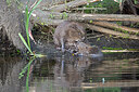 BUITEN BEELD Foto: 437566