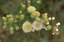 BUITEN BEELD Foto: 437589