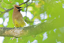 BUITEN BEELD Foto: 437597