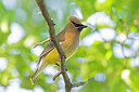 BUITEN BEELD Foto: 437599