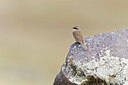 BUITEN BEELD Foto: 437611