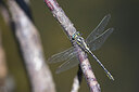 BUITEN BEELD Foto: 437631