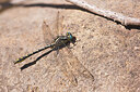 BUITEN BEELD Foto: 437632