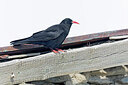 BUITEN BEELD Foto: 437637