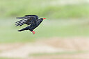 BUITEN BEELD Foto: 437638