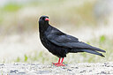 BUITEN BEELD Foto: 437640