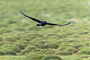 BUITEN BEELD Foto: 437652