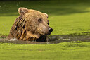 BUITEN BEELD Foto: 437679