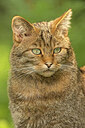 BUITEN BEELD Foto: 437681