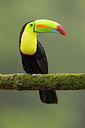 BUITEN BEELD Foto: 437690