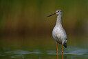 BUITEN BEELD Foto: 437718
