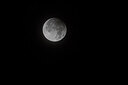 BUITEN BEELD Foto: 437735
