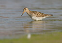 BUITEN BEELD Foto: 437738