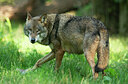 BUITEN BEELD Foto: 437742