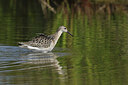 BUITEN BEELD Foto: 437743