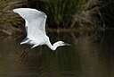 BUITEN BEELD Foto: 437745