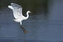 BUITEN BEELD Foto: 437746